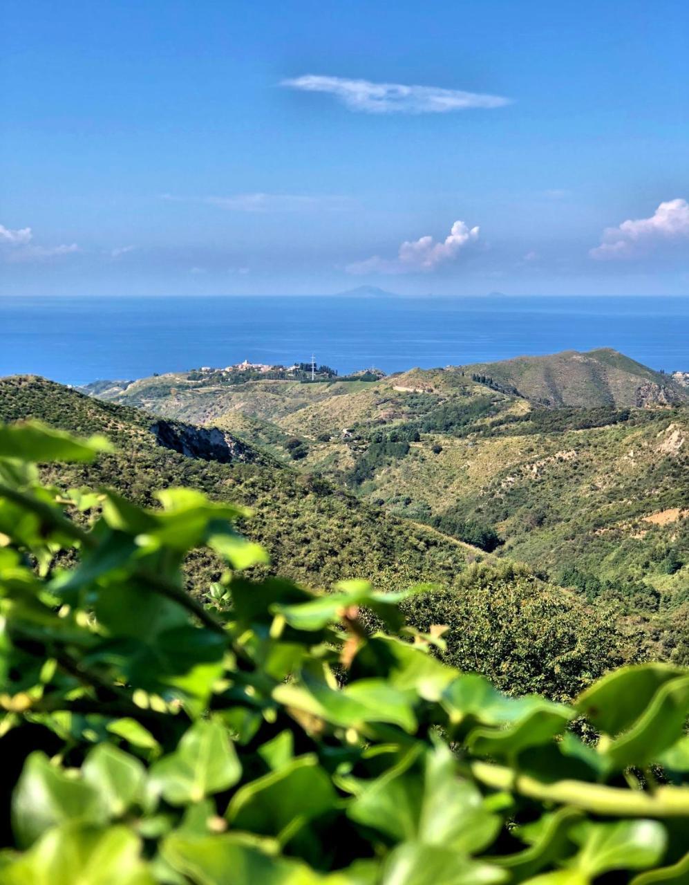 Villa Musolino - Country Resort Messina Buitenkant foto
