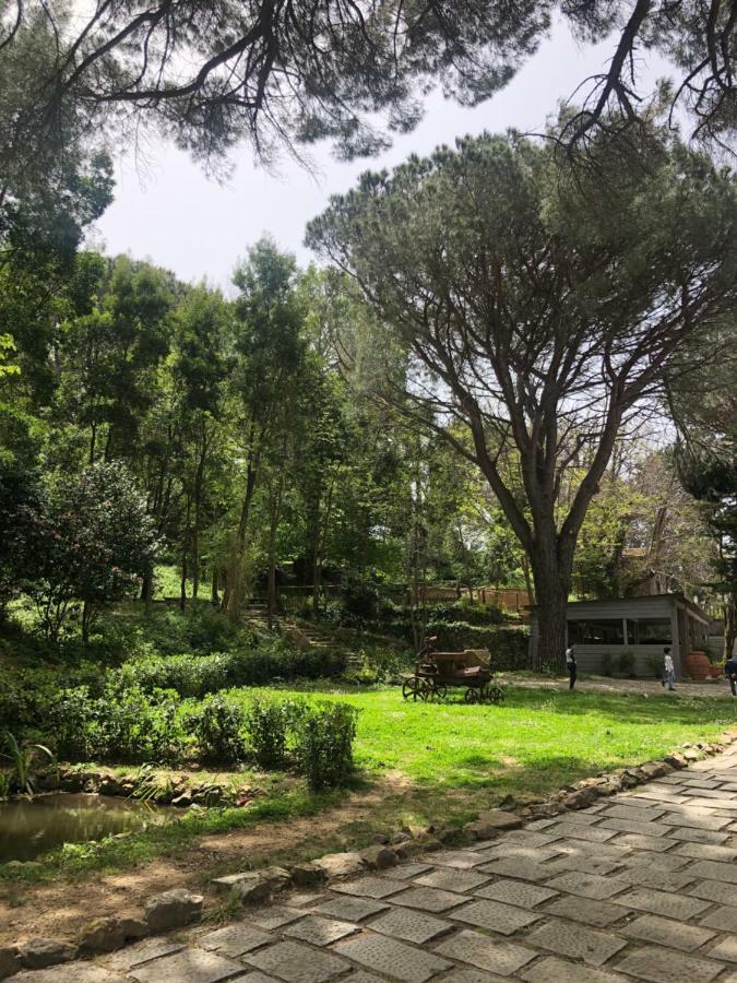 Villa Musolino - Country Resort Messina Buitenkant foto